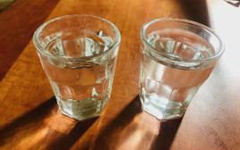 וודקה בצ'ייסר  (צילום: טליה לוין)